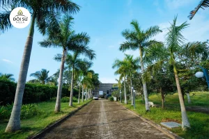 Đồi Sứ Villa - Nghĩ dưỡng